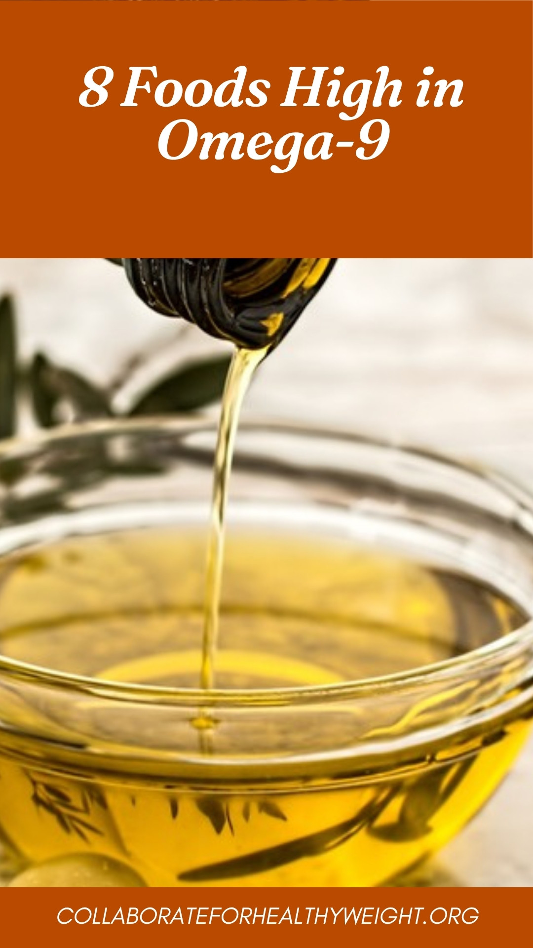 8 Foods High in Omega-9 Pinterest pin