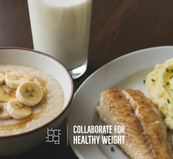 Soft low-fiber gastroparesis meal of cream of wheat with banana, baked fish and mashed potatoes